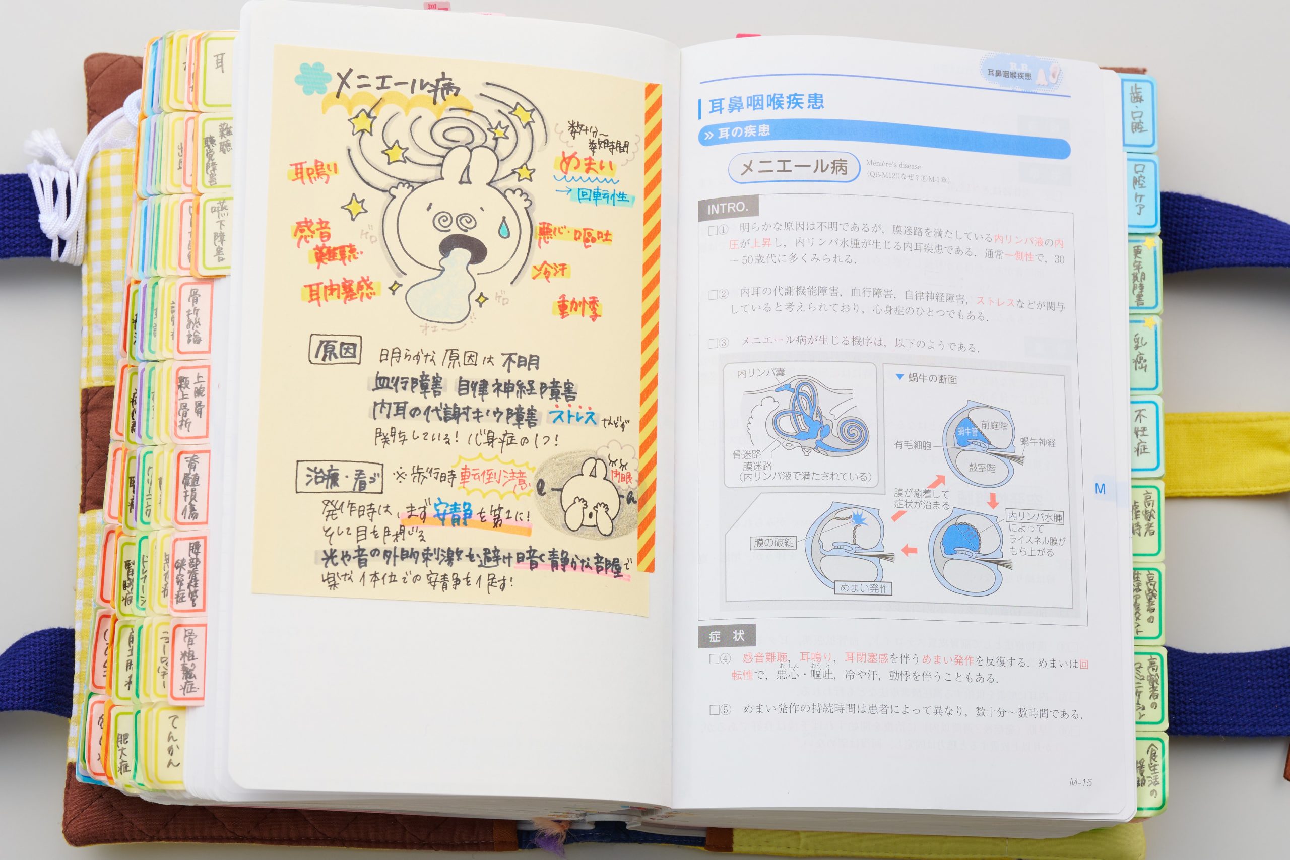 第4回 「解説やイラストをコピーして活用！」うっちゃんさんのマイ