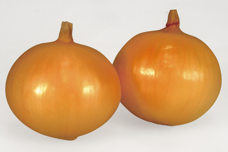 貴錦 | カネコ種苗株式会社 | 未来をひらく・・カネコ交配