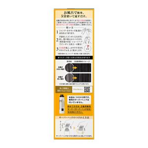 ブローネ リライズ 白髪用髪色サーバー リ・ブラック まとまり仕上げ