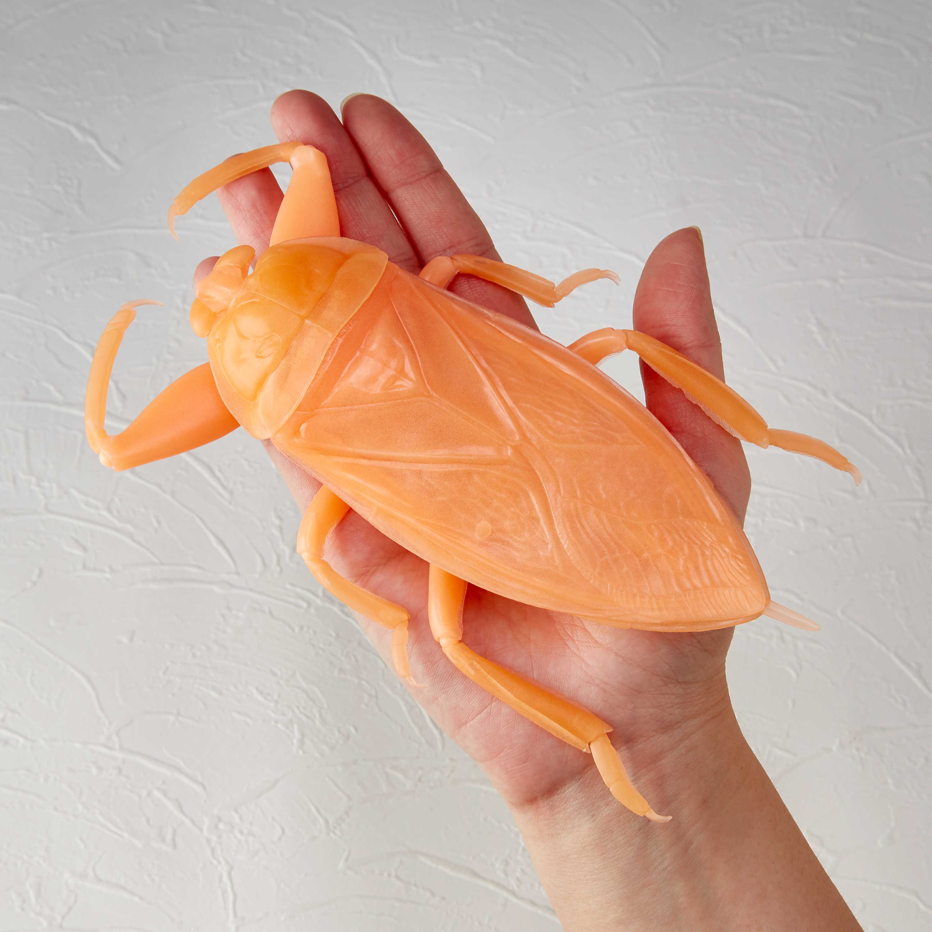 RG006 リボジオ タガメ オレンジ蓄光ver. Glow in the dark -Orange