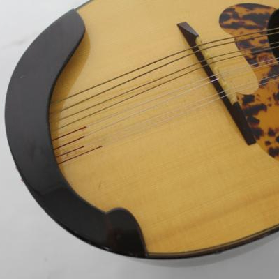 藤丸常夫 No.artistマンドリン 藤丸常夫|マンドリン|【ハードオフ公式