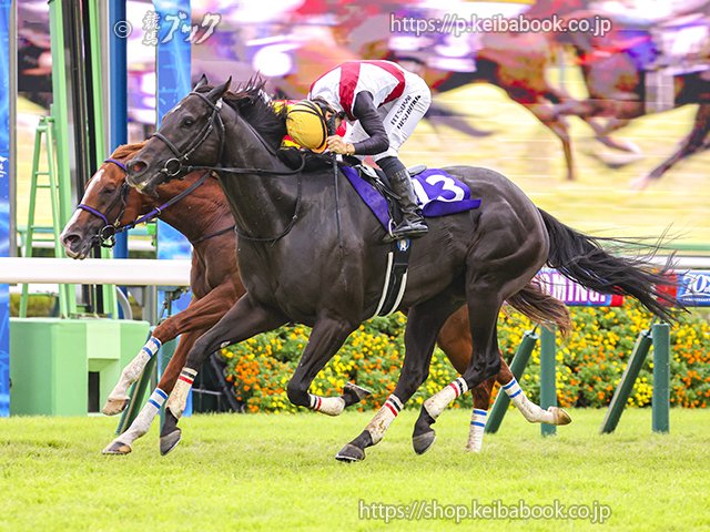 第58回 スプリンターズS 回顧 | 競馬 研究ニュース