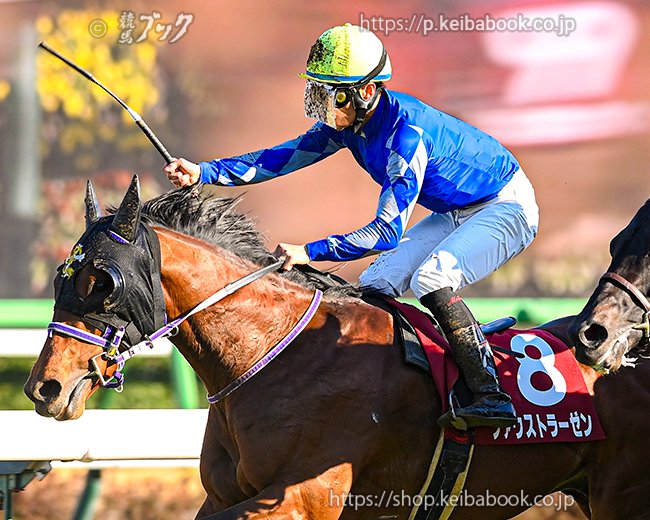 第62回 ディープインパクト記念 回顧 | 競馬 研究ニュース