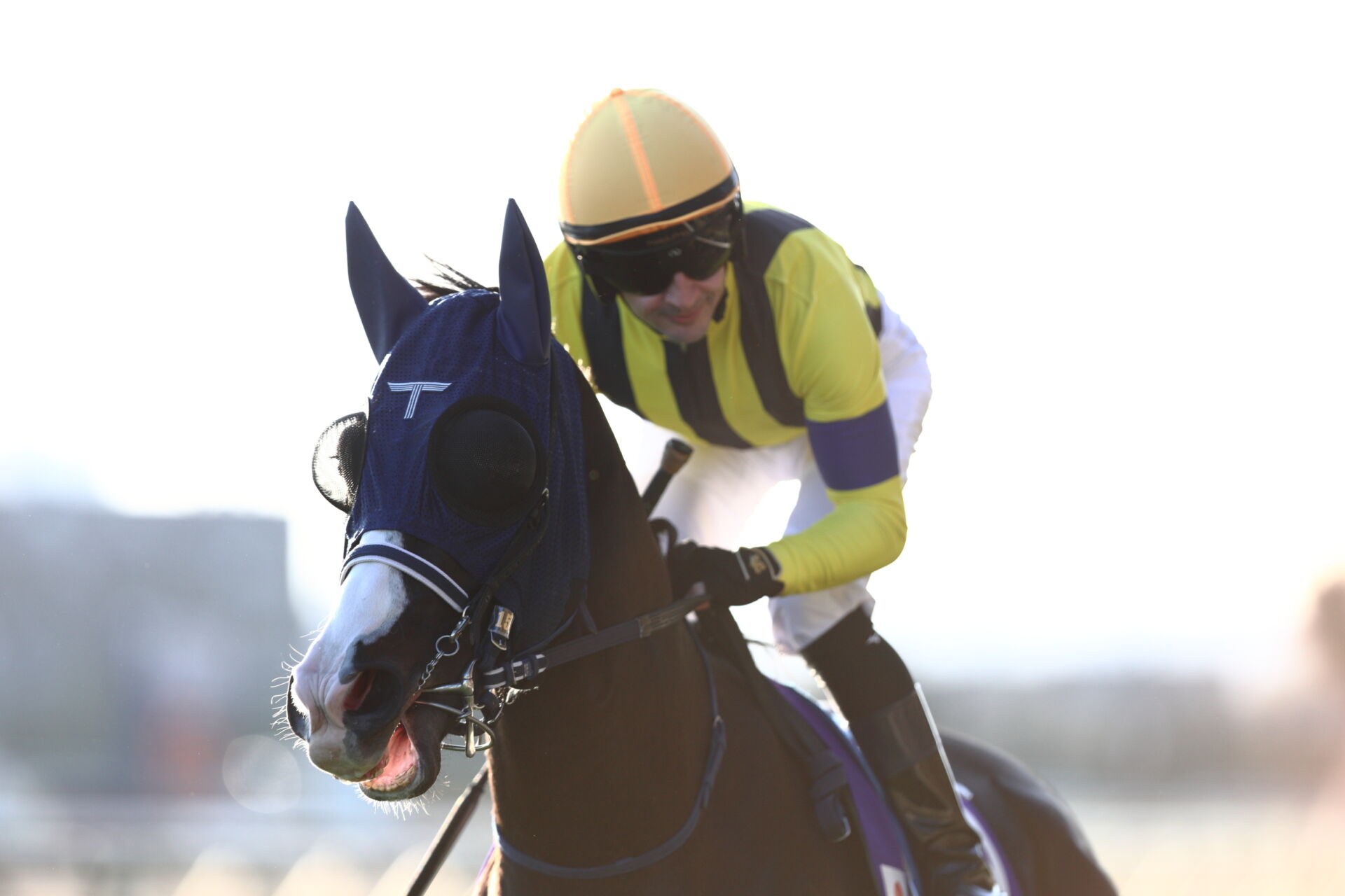 ジャパンカップ】ルメール「少し内へもたれた」レース後ジョッキー