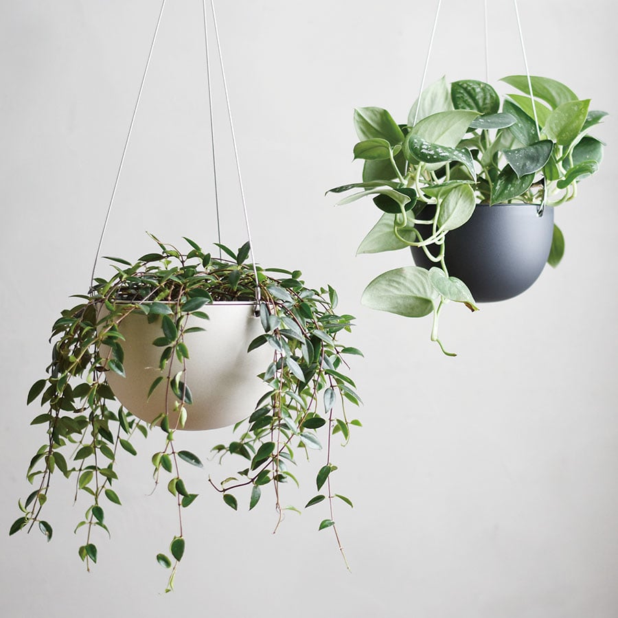 KINTO HANGING PLANT POT – Minimal Ceramic Planter for Modern