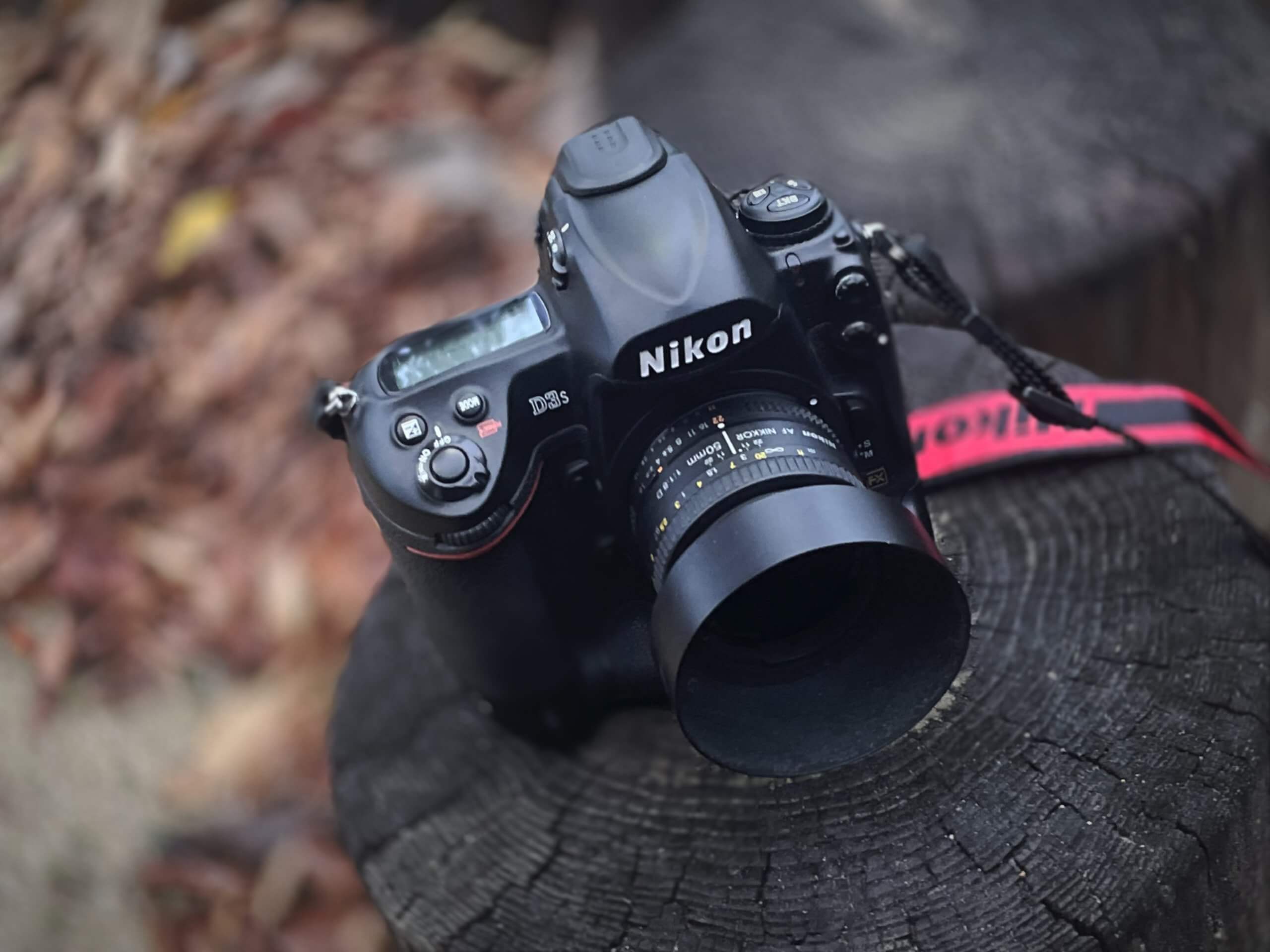 アナログ感が残るデジタル一眼レフ機は、趣味のカメラとしてはやはり