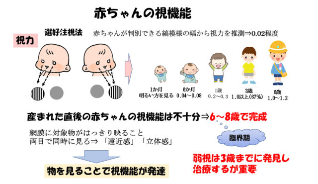 赤ちゃんの視覚と聴覚の発達について｜社会福祉法人交響
