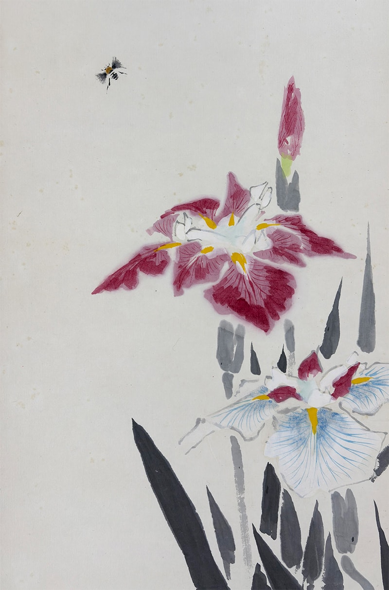 菖蒲｜新・古美術 高美堂（こうびどう）｜掛軸販売・通販・買取｜骨董