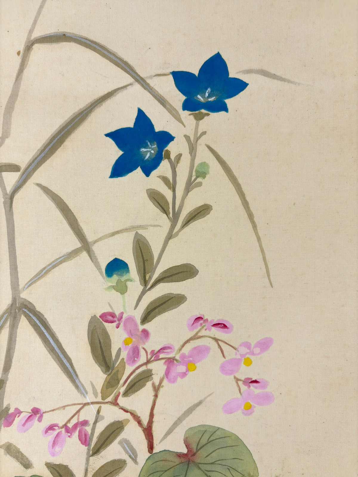 秋草｜ミニ掛軸｜新・古美術 高美堂（こうびどう）｜掛軸販売・通販