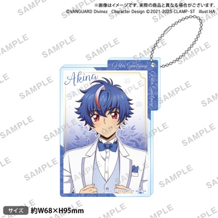 カードファイト!! ヴァンガード Divinez くじロード～Something Blue