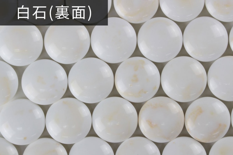 碁石 日向特産本蛤 32号花