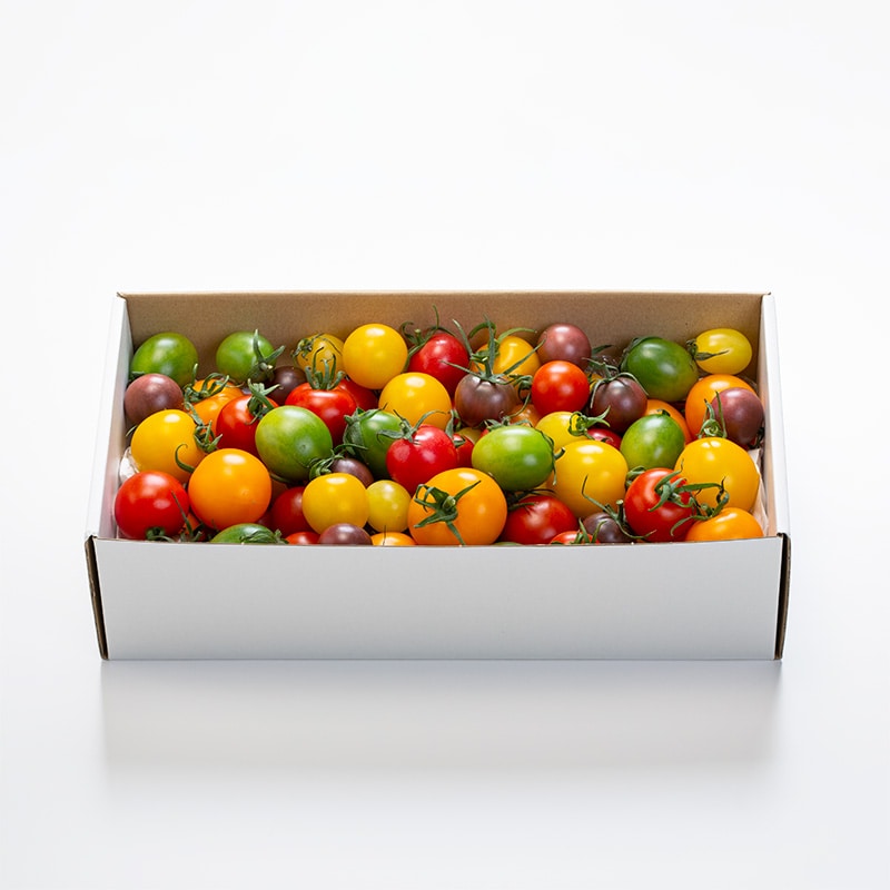 カラフル無選別トマト（1.5kg） | Lacycle mall（ラシクルモール）