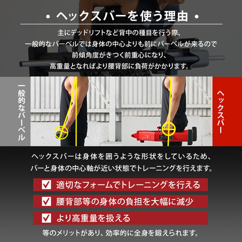 ヘックスバーDNSコラボ限定カラー ｜ラインナップ｜トレーニング用品