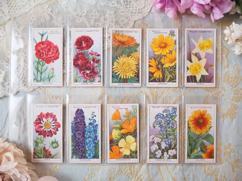 シガレットカード/花シリーズ/10枚セット carte・カード