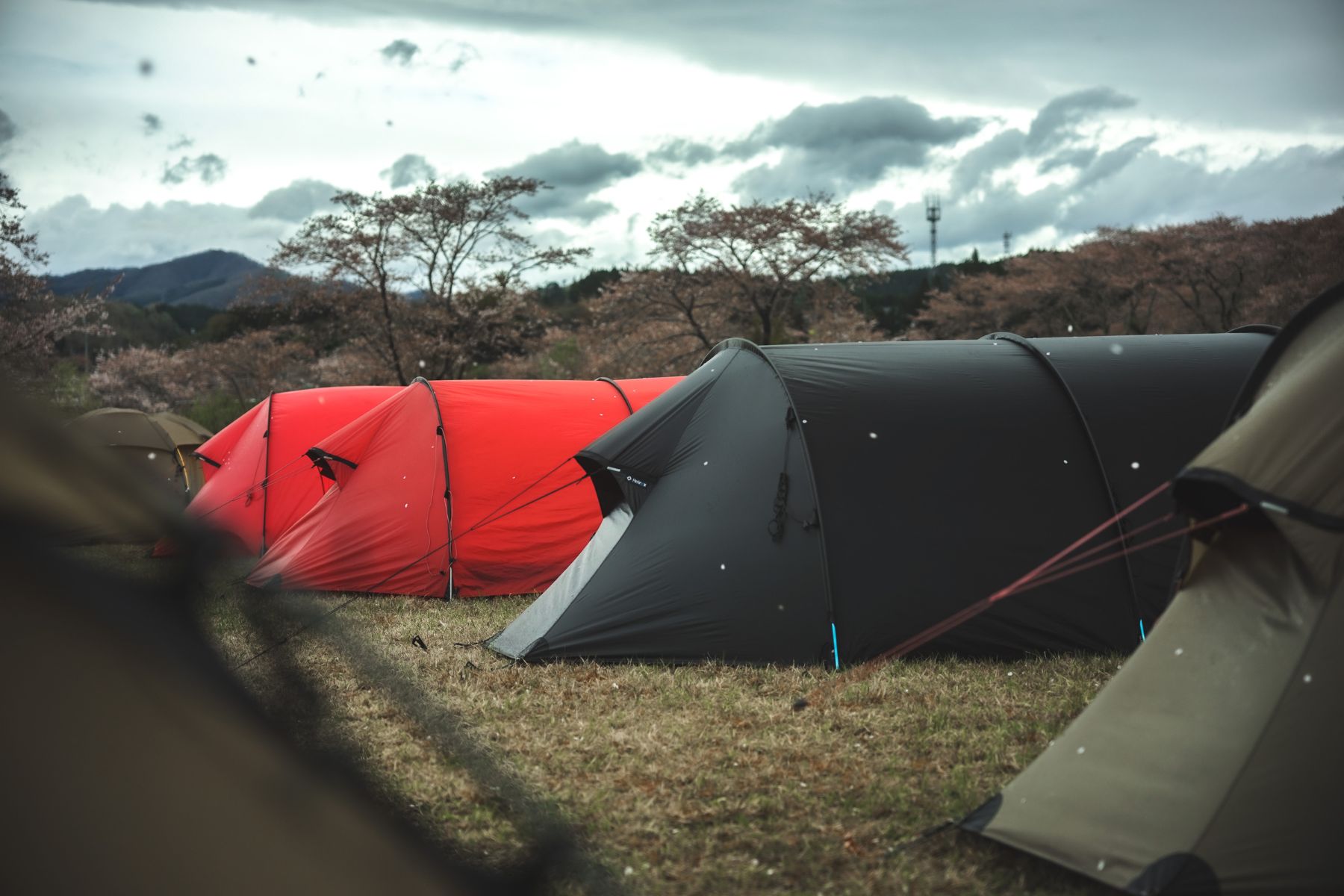 最強のテント！？【ヒルバーグ・ケロン4GT】徹底レビュー｜夏場の使用