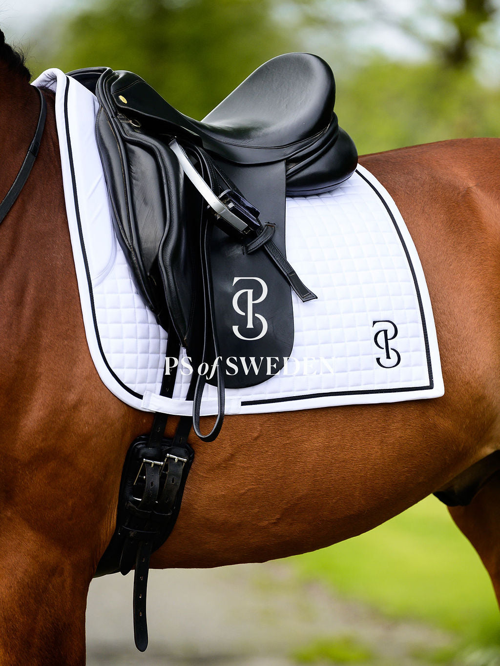 滑り止め付き乗馬用ゼッケン 障害/馬場 アナトミカル構造 Ps of Sweden