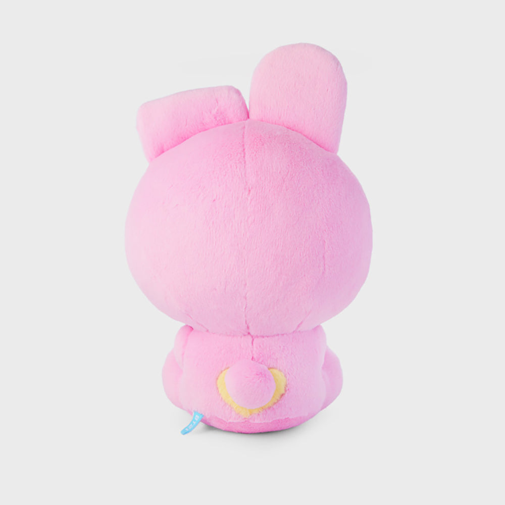 ベーシック おすわりぬいぐるみ COOKY – LINE FRIENDS SQUARE JAPAN