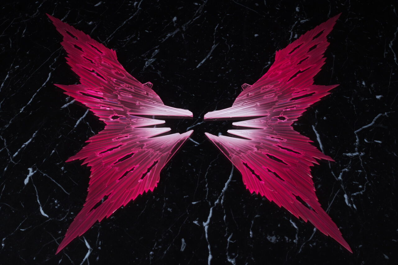 METAL ROBOT魂 デスティニーガンダム［Re:Coordinate］専用 光の翼