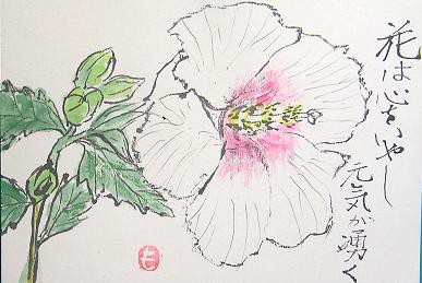 絵手紙シリーズ ムクゲ（木槿） : 四季の花図鑑