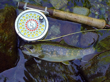 Hardy Marquis 4 ～ ようやく懸案が… : Key Taccata's FF Tackle Den