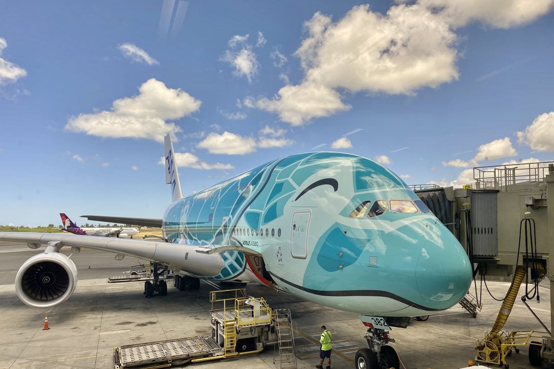 LOVETABI | 旅に恋する情報マガジン ANAの「FLYING HONU（フライング