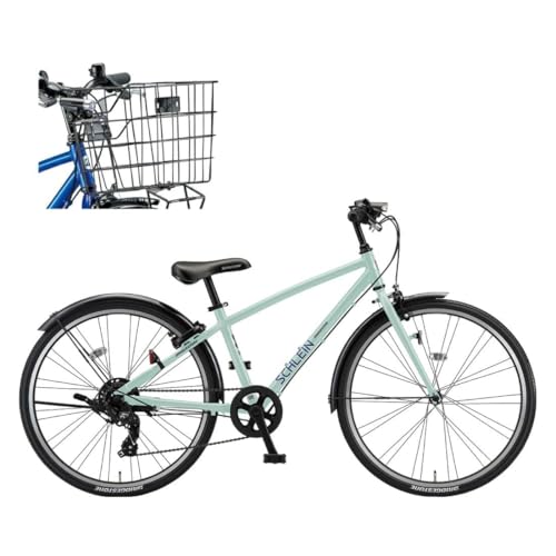 シュライン 24」の人気商品一覧 | 安い商品を通販サイトから探す