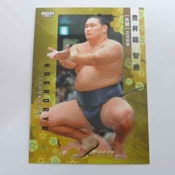 Amazon.co.jp: BBM2024 大相撲カード□レギュラーカード□04/豊昇龍