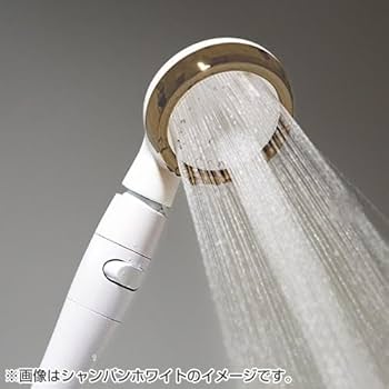 419QVq4ZvWL._AC_UF350,