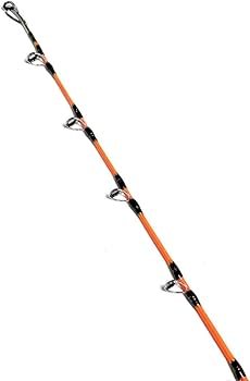 Amazon | RIZAS（ライザス) TAKOEGI 165H/180H 船竿 タコロッド (165