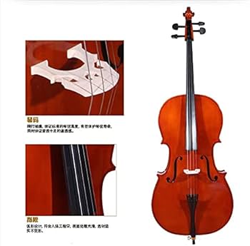 Amazon | KALELAISU チェロ メープル材 艶ありチェロ 1/4 5-7歳 子供用