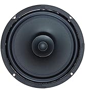 Amazon.co.jp: DAITO VOICE ダイトーボイス DS-200R 8Ω 20cm