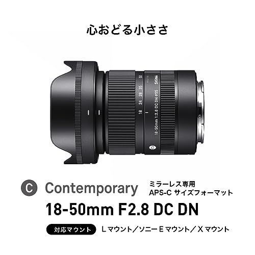 SONY FE 50mm F1.8】カメラ初心者が単焦点レンズを購入してバイクの