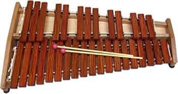 41IoMlT43ZL._AC_UF350,