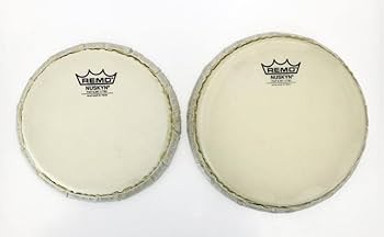 Amazon.co.jp: Pearl ホワイトウッド・ボンゴ レモ・ニュースキン