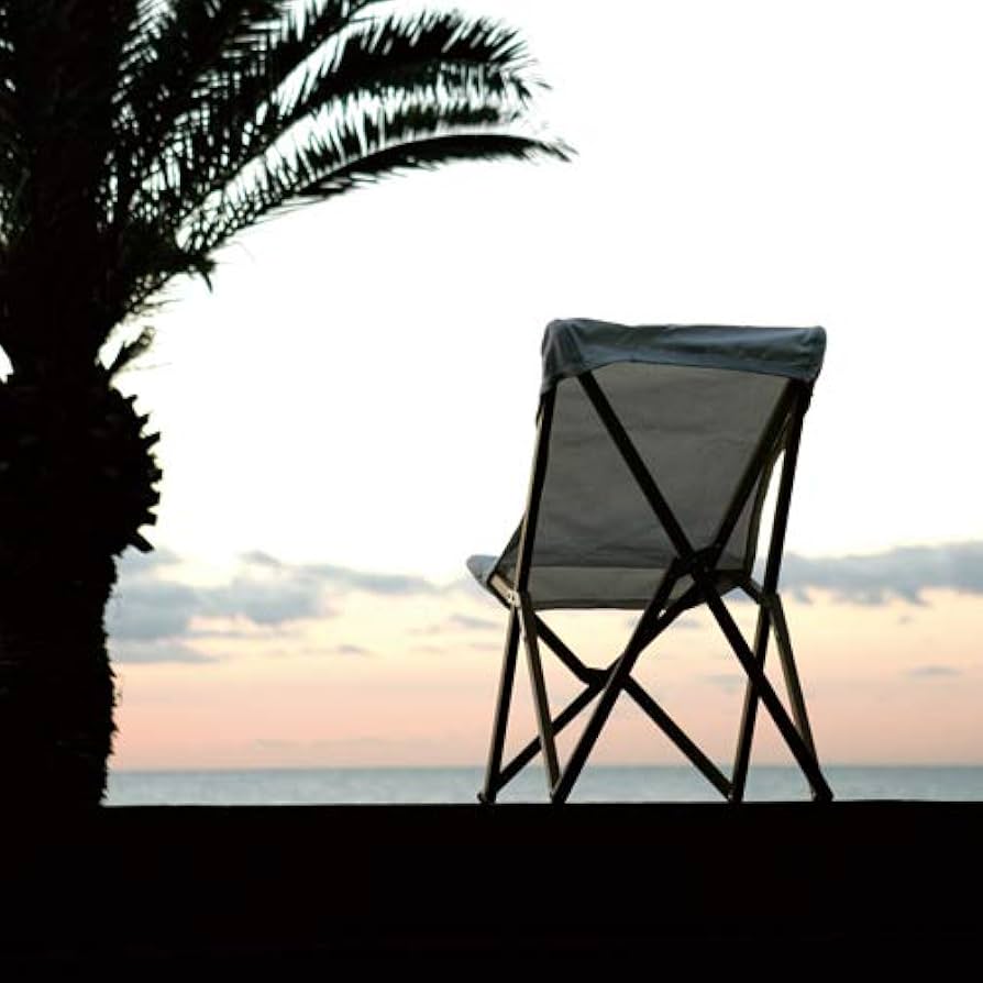 Amazon｜ダルトン(Dulton) 椅子 ウッデンビーチチェアー ホワイト 高さ