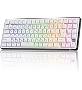 Amazon | 【Amazon.co.jp限定】RK ROYAL KLUDGE M87 ワイヤレス