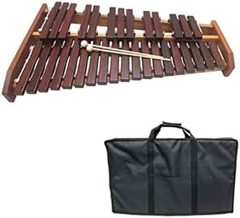 41P1wRlddAL._AC_UF350,