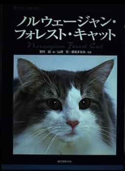 41RhJI8ImvL._AC_UF350,