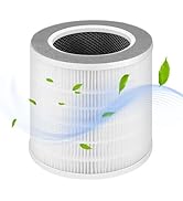 Amazon | ZXhome空気清浄機交換用フィルター HEPA三層濾過フィルター
