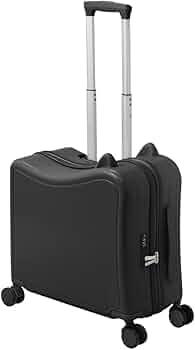 41cGou9EQYL._AC_UF350,