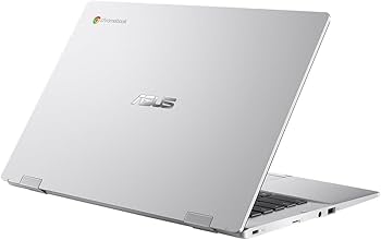 Amazon.com: ASUS Chromebook Flip CX1400 CX1400FKA-DS84FT 14