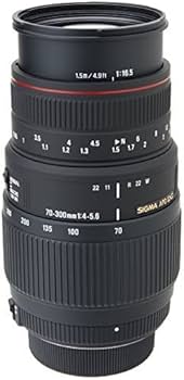 Amazon.com : Sigma 70-300mm f/4-5.6 DG APO Macro Motorized