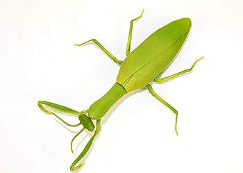 Amazon.co.jp: カマキリ ラジコン Mantis Radio Controlled : おもちゃ