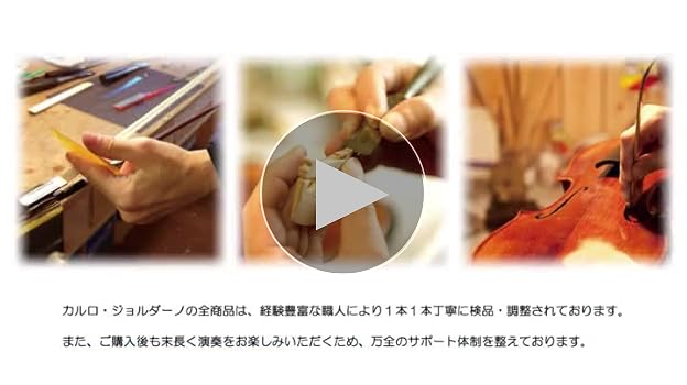 Amazon.co.jp: カルロジョルダーノ バイオリンセット ブラック VS-1 3