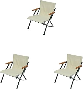 Amazon.co.jp: スノーピーク(snow peak) チェア ローチェア30 ショート
