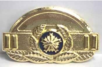 41n5U2IP1wL._AC_UF350,