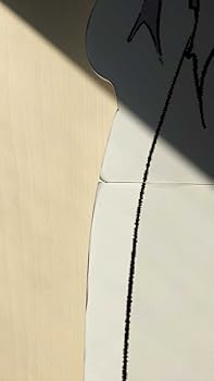 Amazon.co.jp: 等身大スタンドパネル 暁美ほむら ハロウィン