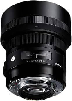 Amazon.com : Sigma 30mm F1.4 Art DC HSM Lens for Canon : Digital