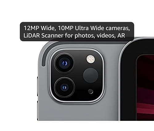 Amazon.com : Apple 2021 11-inch iPad Pro (Wi-Fi, 256GB) - Space