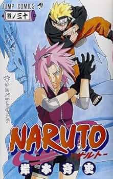 NARUTO-ナルト- 21-30巻セット すべて通常版 (ジャンプコミックス